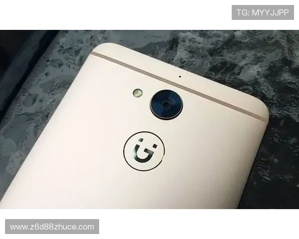 探索尊龙手机登录的安全性与隐私保护功能深度分析 探索尊龙手机登录的安全性与隐私保护功能深度分析