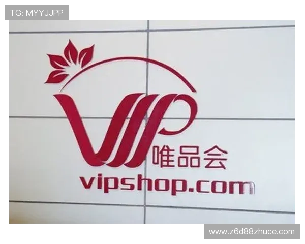 解析尊龙会官网会员登录网址背后的运营模式与优势